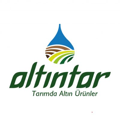 altıntar